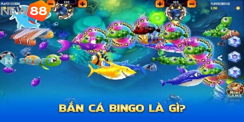 bắn cá bingo Chinh phục biển cả với luật chơi bắn cá Bingo