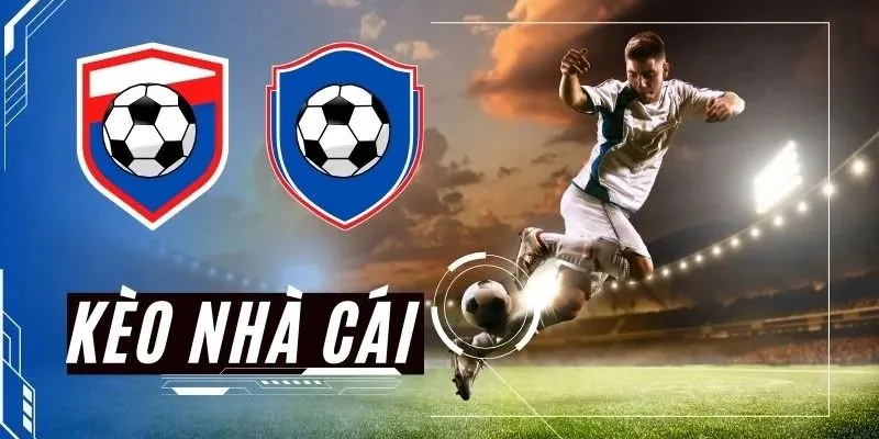 Tổng hợp những lý do nên soi kèo trước khi đặt cược