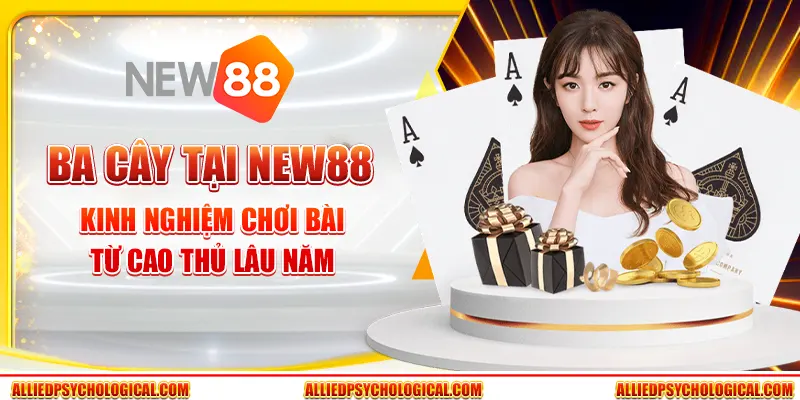Ba Cây tại New88 - Kinh nghiệm chơi bài từ cao thủ lâu năm